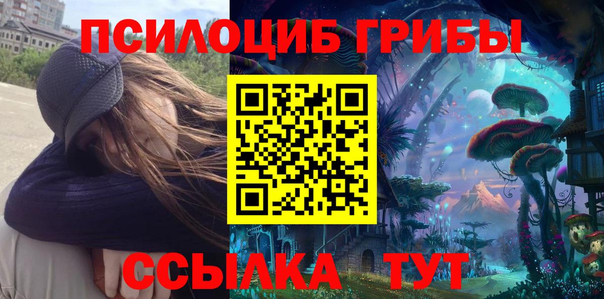 Псилоцибиновые грибы GOLDEN TEACHER  Вход с VPN  Чебоксары 